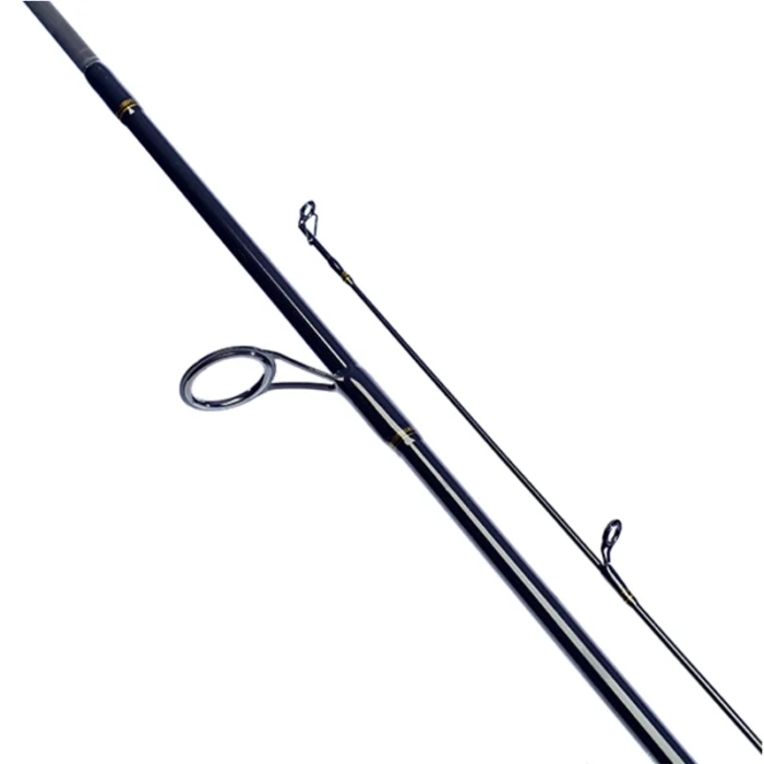 Spiningas Daiwa Laguna XT 2.74m 5-25g - Image 4
