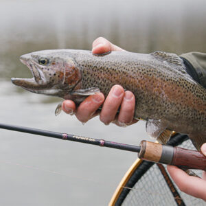 Delphin TROUTERA SoftLURE 1.8m 0.5-6g